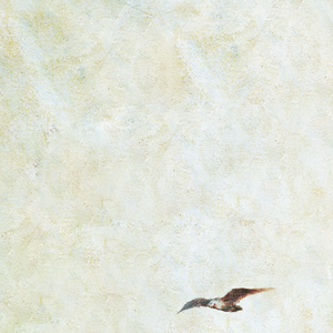 一级BBBBBBBBB毛片A
